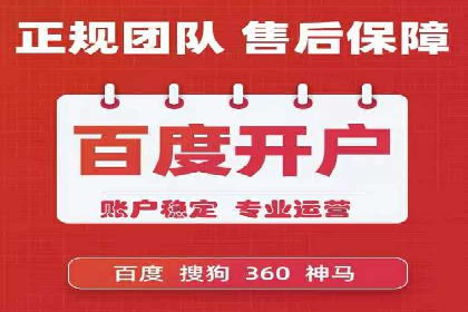 百度竞价广告投放策略：案例分析及效果评估